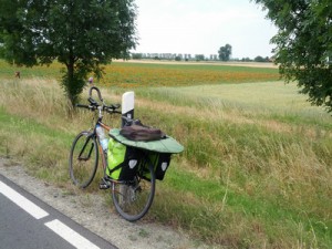 Blumen und Weizenfelder mit Rennrad