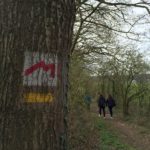 Guided Tour - Mullerthal Trail