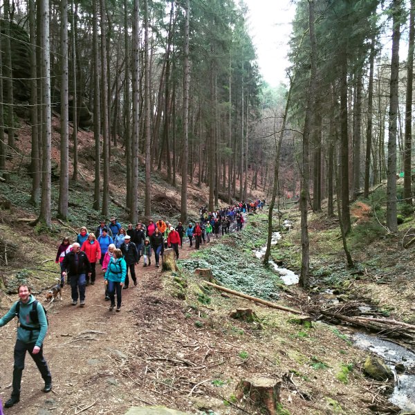 Guided Tour - Mullerthal Trail