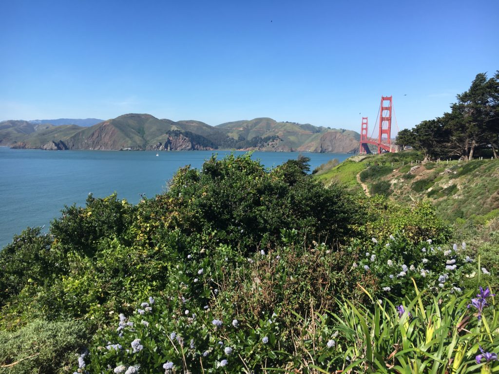 Golden Gate Bridge View