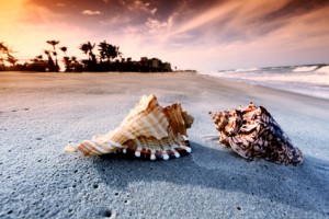 Beach and national parks