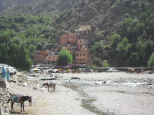 Ourika Tal