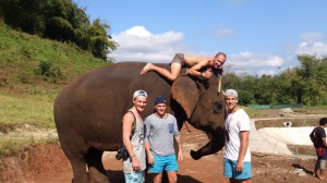 Elefant Camp Thailand1