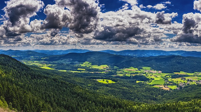 Bayersicher Wald
