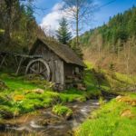 schwarzwald